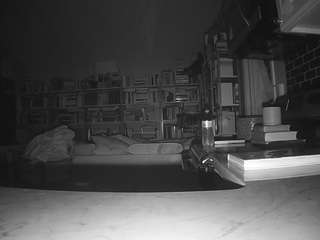 voyeurcam bridgetleewalters 02